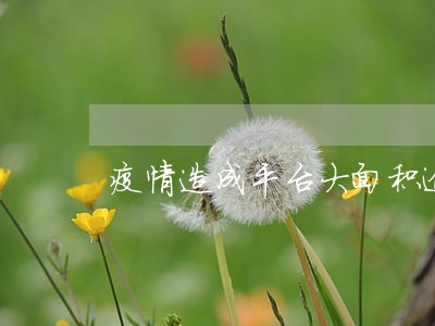 疫情造成平台大面积逾期 疫情造成平台大面积逾期