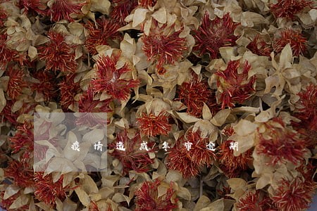 疫情造成年审逾期 疫情造成年审逾期