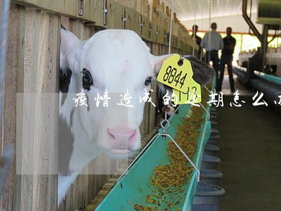疫情造成的逾期怎么办 疫情造成的逾期怎么办