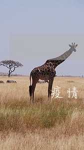疫情造成网贷逾期怎么办 疫情造成网贷逾期怎么办