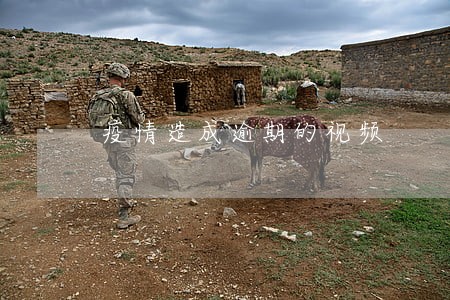 疫情造成逾期的视频