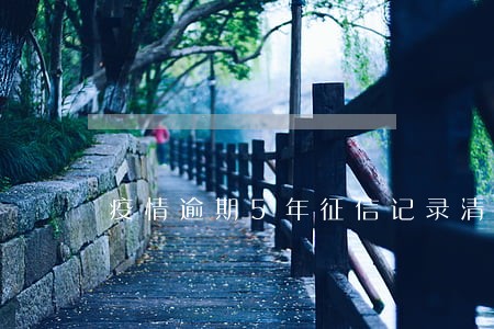 疫情逾期5年征信记录清零 疫情逾期5年征信记录清零