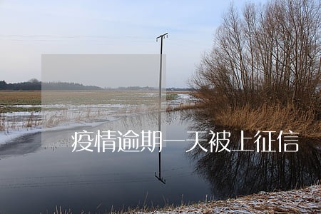 疫情逾期一天被上征信 疫情逾期一天被上征信