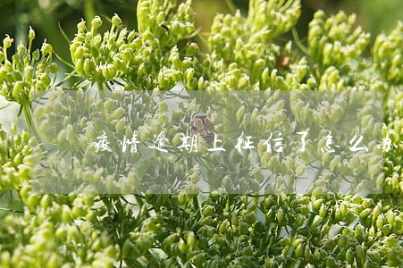 疫情逾期上征信了怎么办 疫情逾期上征信了怎么办