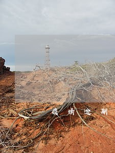 疫情逾期上征信消不掉