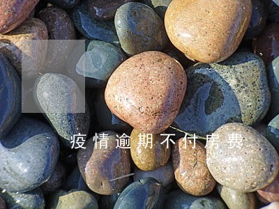 疫情逾期不付房费 疫情逾期不付房费