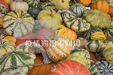 疫情逾期不回国 疫情逾期不回国