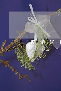 疫情逾期了两个月