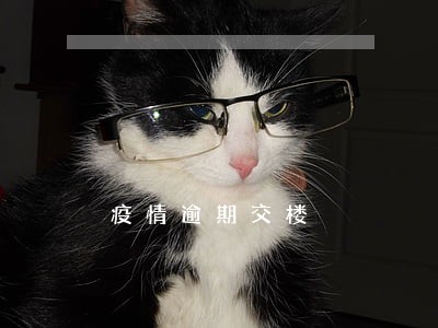疫情逾期交楼 疫情逾期交楼