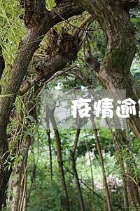 疫情逾期交楼怎么处理 疫情逾期交楼怎么处理