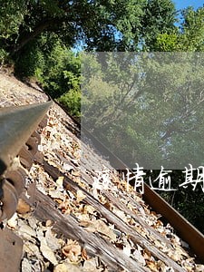 疫情逾期交租 疫情逾期交租