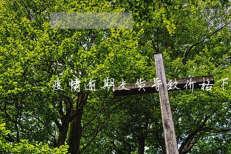 疫情逾期交货导致价格下跌 疫情逾期交货导致价格下跌