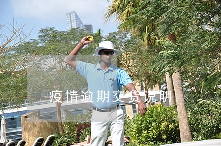 疫情逾期交货说明 疫情逾期交货说明