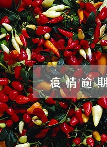 疫情逾期交货逾期导致价格下跌 疫情逾期交货逾期导致价格下跌