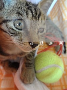疫情逾期人员 疫情逾期人员