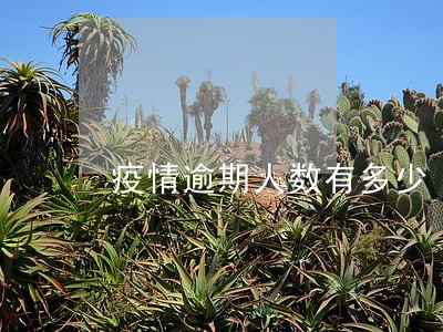 疫情逾期人数有多少 疫情逾期人数有多少