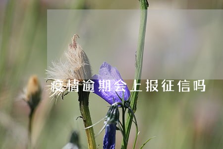 疫情逾期会上报征信吗 疫情逾期会上报征信吗