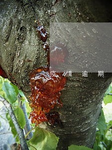 疫情逾期信用记录
