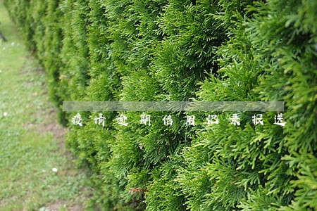疫情逾期信用记录报送 疫情逾期信用记录报送