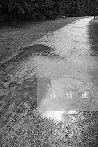 疫情逾期借呗被关了 疫情逾期借呗被关了