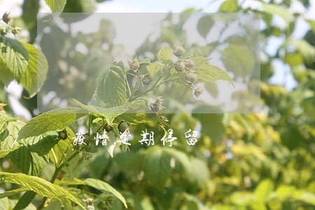 疫情逾期停留 疫情逾期停留