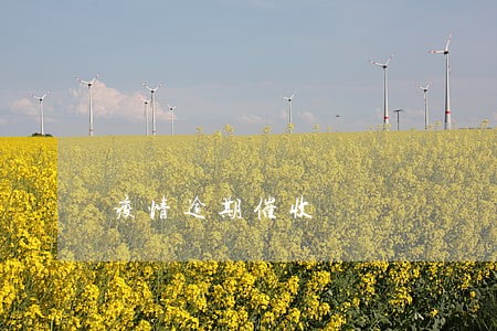 疫情逾期催收 疫情逾期催收