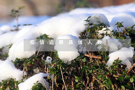 疫情逾期具体人数 疫情逾期具体人数