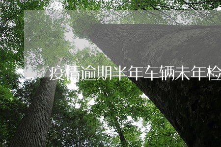 疫情逾期半年车辆未年检出险 疫情逾期半年车辆未年检出险