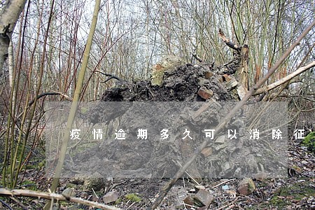 疫情逾期多久可以消除征信 疫情逾期多久可以消除征信