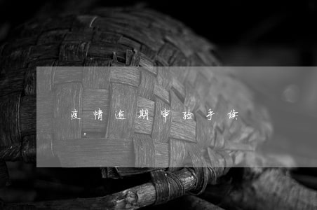 疫情逾期审验手续 疫情逾期审验手续