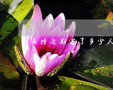 疫情逾期害了多少人 疫情逾期害了多少人