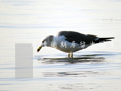 疫情逾期居留中国多久会影响签证 疫情逾期居留中国多久会影响签证