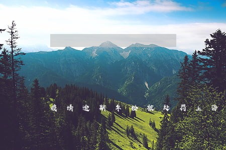 疫情逾期年检被处罚上海 疫情逾期年检被处罚上海
