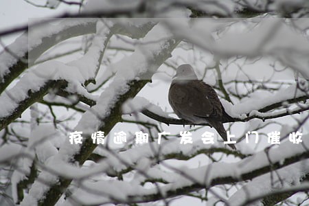 疫情逾期广发会上门催收吗 疫情逾期广发会上门催收吗