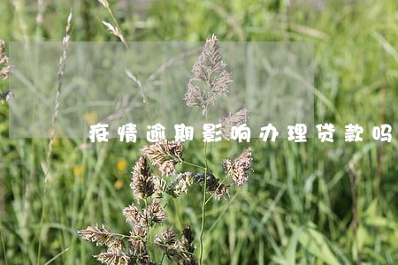 疫情逾期影响办理贷款吗 疫情逾期影响办理贷款吗