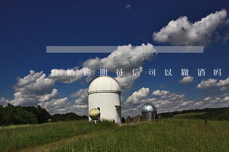 疫情逾期征信可以撤销吗 疫情逾期征信可以撤销吗