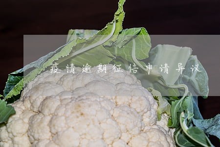 疫情逾期征信申请异议 疫情逾期征信申请异议