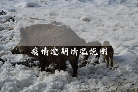 疫情逾期情况说明 疫情逾期情况说明