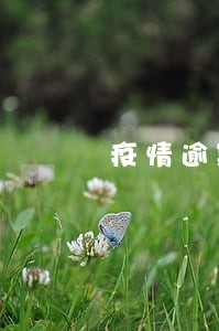疫情逾期房贷罚息 疫情逾期房贷罚息