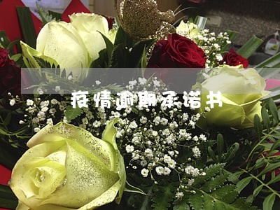 疫情逾期承诺书 疫情逾期承诺书