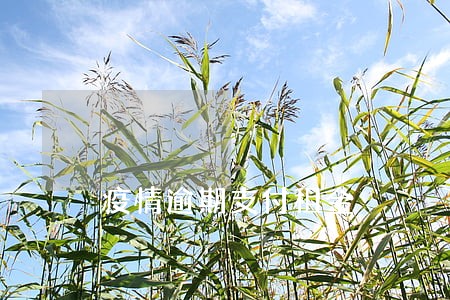疫情逾期支付租金 疫情逾期支付租金