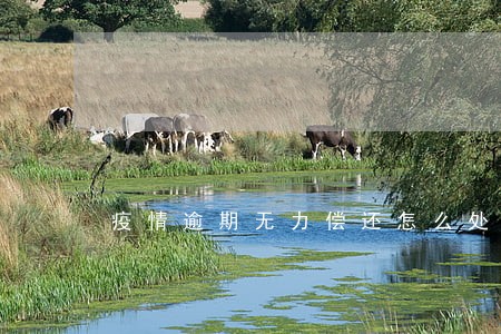 疫情逾期无力偿还怎么处理 疫情逾期无力偿还怎么处理