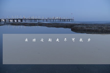 疫情逾期是不可抗力 疫情逾期是不可抗力