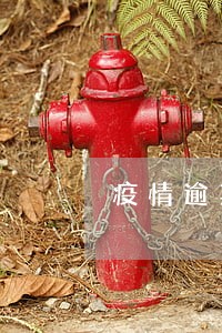 疫情逾期未检验保险 疫情逾期未检验保险