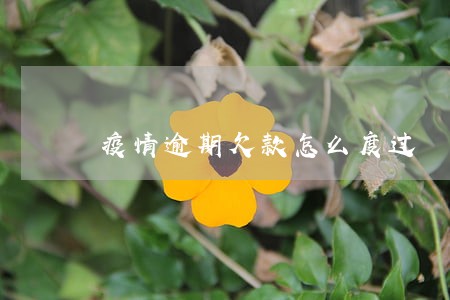 疫情逾期欠款怎么度过 疫情逾期欠款怎么度过
