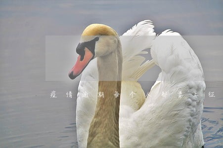疫情逾期每个人都要上征信 疫情逾期每个人都要上征信