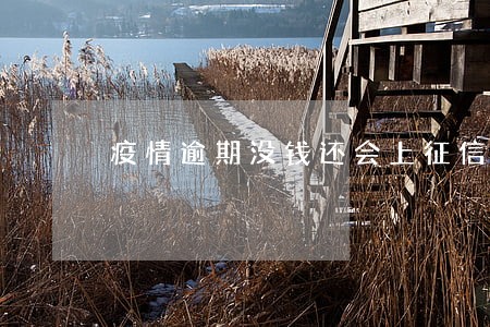 疫情逾期没钱还会上征信吗 疫情逾期没钱还会上征信吗