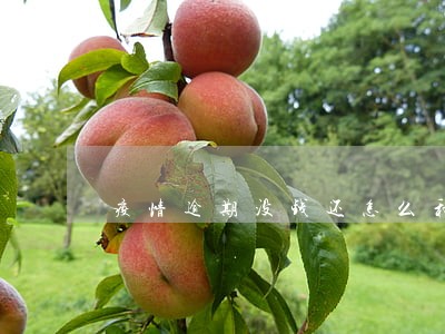 疫情逾期没钱还怎么和银行沟通 疫情逾期没钱还怎么和银行沟通