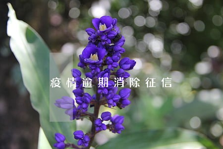 疫情逾期消除征信