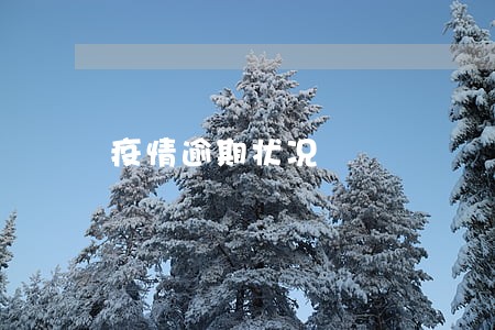 疫情逾期状况 疫情逾期状况
